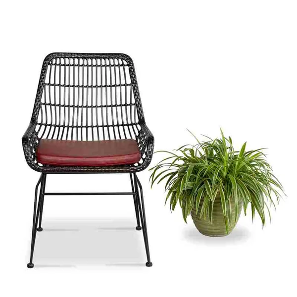 Ghế Cafe Giả Mây GCFDT73