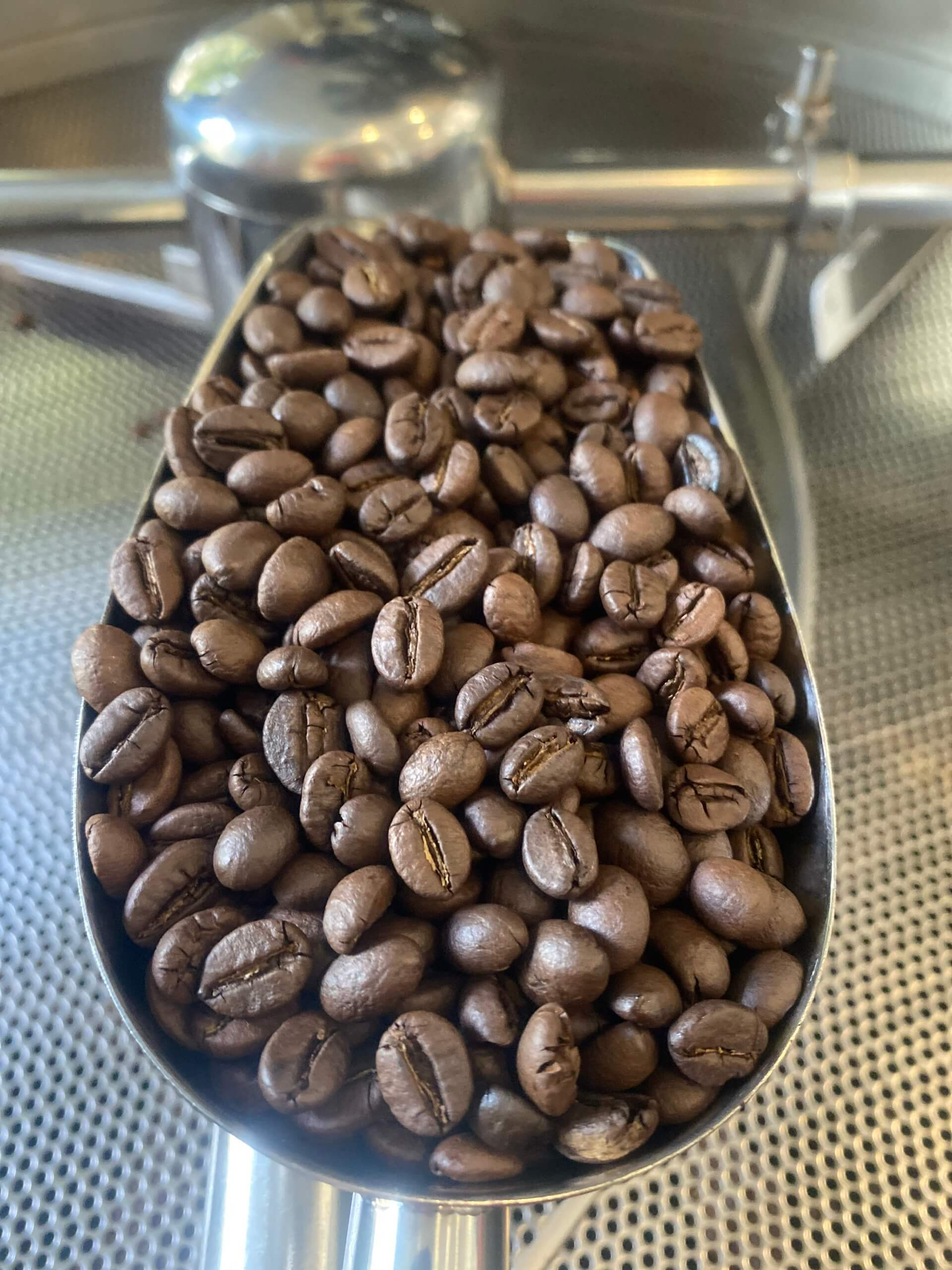 Hạt cà phê Robusta - vị đắng mạnh, body dày Hạt cà phê Robusta - vị đắng mạnh, body dày