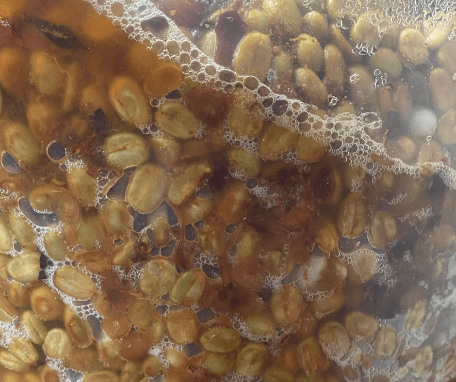 Fermentation with Kombucha Fermentation with Kombucha