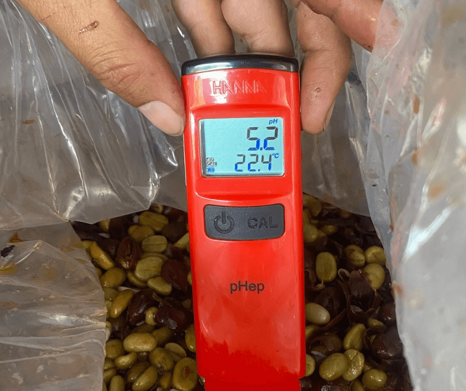 kiểm tra các thông số kỹ thuật như độ đường, pH, nhiệt độ, độ ẩm môi trường kiểm tra các thông số kỹ thuật như độ đường, pH, nhiệt độ, độ ẩm môi trường