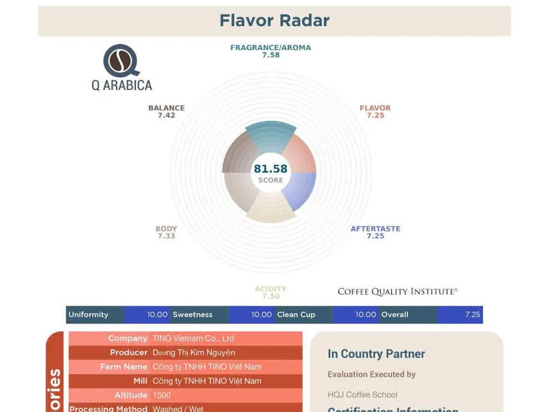 TINO Coffee ARABICA meets Specialty standards, certified by the Coffee Quality Institute - CQI