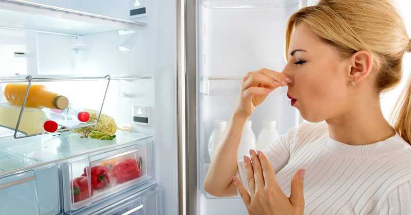 Khi bạn cần vệ sinh tủ lạnh hoặc bất kỳ dịch vụ nào khác mà Điện Máy Đức Anh Mỹ cung cấp, hãy liên hệ ngay với chúng tôi Khi bạn cần vệ sinh tủ lạnh hoặc bất kỳ dịch vụ nào khác mà Điện Máy Đức Anh Mỹ cung cấp, hãy liên hệ ngay với chúng tôi