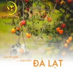 ĐÀ LẠT MÙA THU 3N3Đ