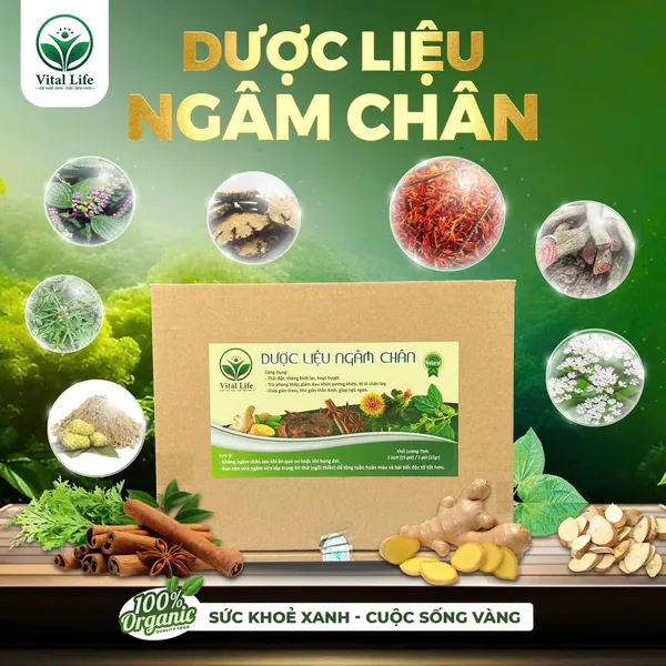 Dược liệu ngâm chân
