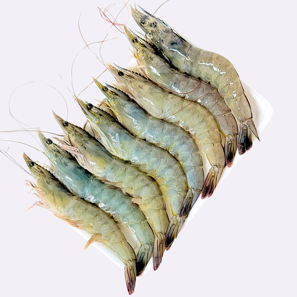 Tôm Thẻ Tươi Đóng khay 200gram
