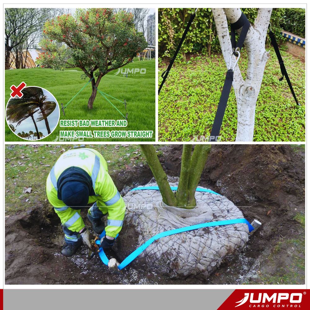 Ứng dụng dây chằng hàng cố định cây trồng, vật dụng ngoài trời. Ứng dụng dây chằng hàng cố định cây trồng, vật dụng ngoài trời.