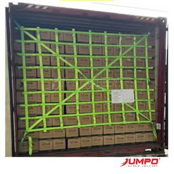 Cargo Net Container webiing 50mm Customize 