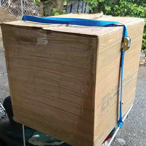 Dây chằng hàng khóa cam bản 25mm 500kg 2 đầu mắt mềm