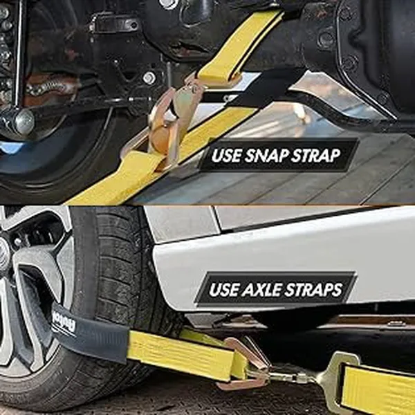 Dây chằng hàng tăng đơ 50mm móc snap hook xoắn và D-ring