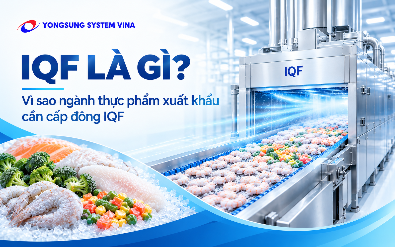 IQF là gì? Vì sao ngành thực phẩm xuất khẩu cần cấp đông IQF