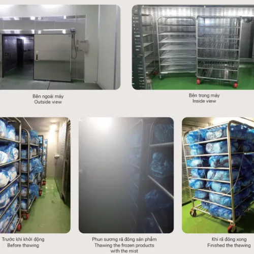 Hệ thống rã đông bằng hơi nước Mist Steam Thawer