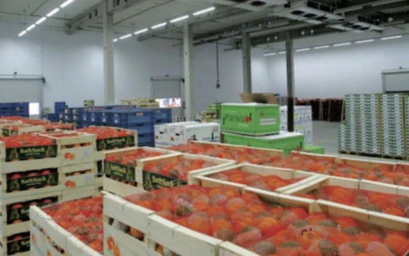 Kho lạnh thực phẩm là gì? Lắp đặt kho thực phẩm