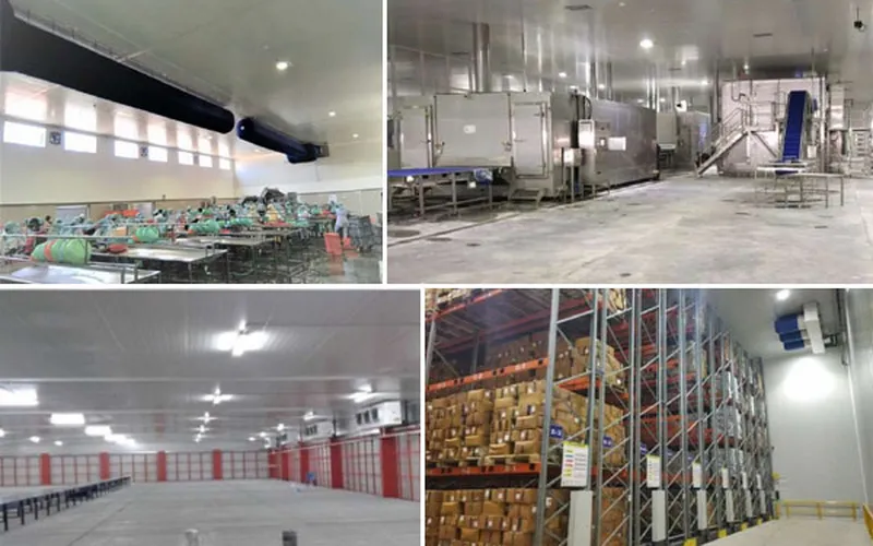 Kho lạnh thủy sản tiêu chuẩn bảo quản chất lượng