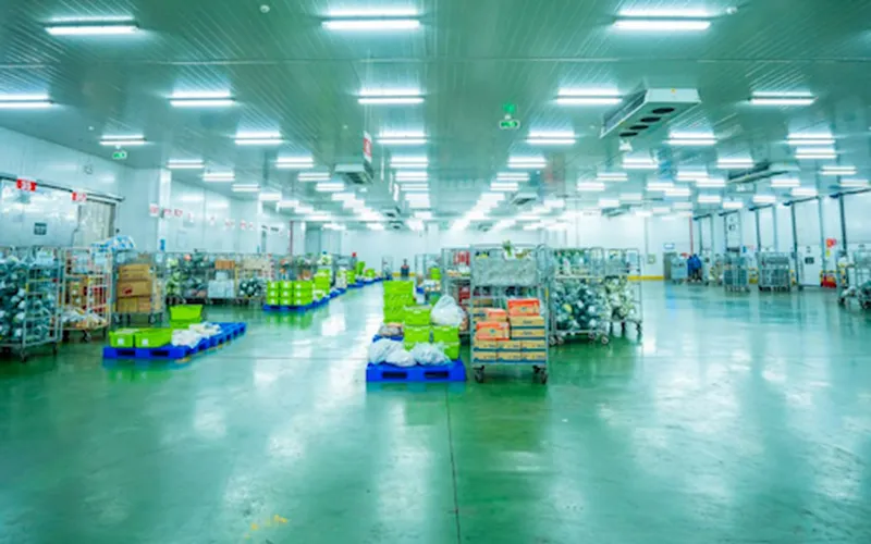 Kho mát là gì? Lắp đặt kho mát bảo quản thực phẩm