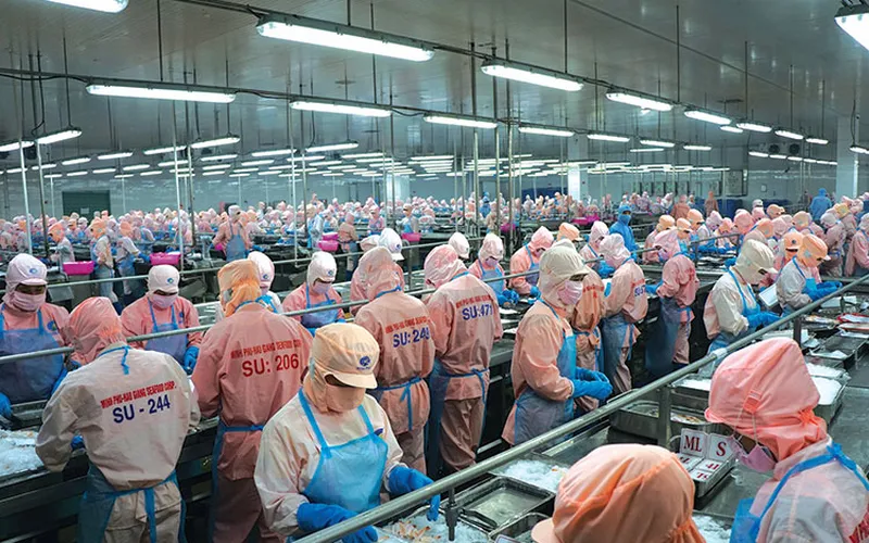 Công ty chế biến thủy sản nhà máy phổ biến