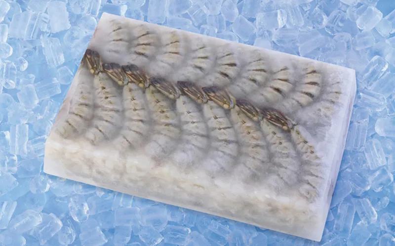 Tôm đông block công nghệ cấp đông tiên tiến