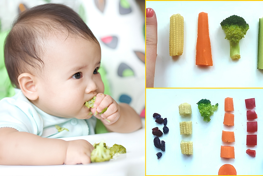 Ăn Dặm BLW Là Gì? Những Điều Ba Mẹ Cần Biết Trước Khi Cho Bé Bắt Đầu Ăn Dặm BLW Là Gì? Những Điều Ba Mẹ Cần Biết Trước Khi Cho Bé Bắt Đầu
