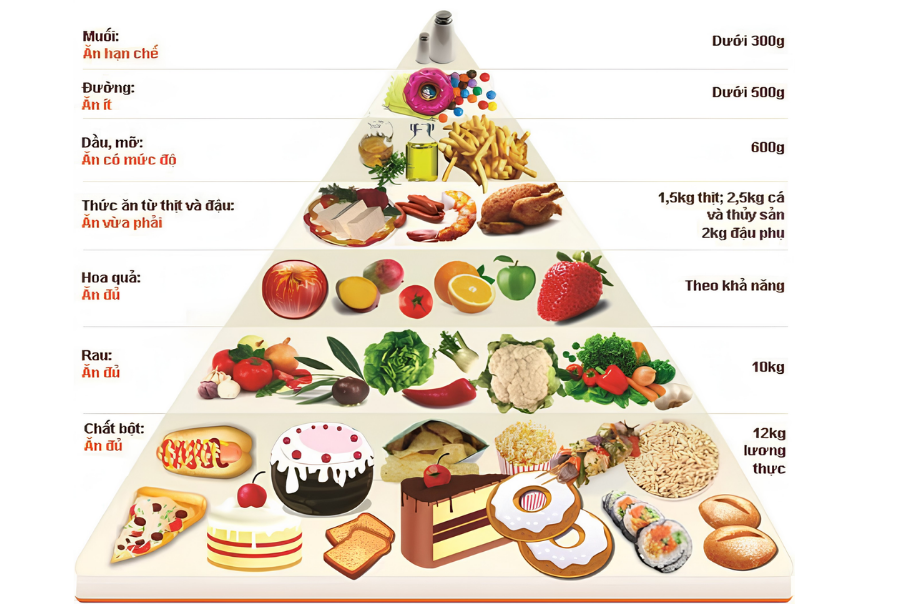 Tháp dinh dưỡng cho mẹ bầu sau sinh Tháp dinh dưỡng cho mẹ bầu sau sinh