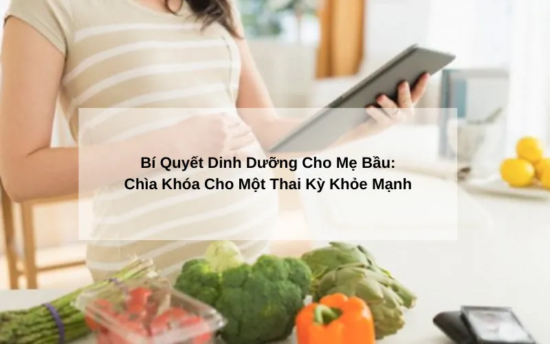 Bí Quyết Dinh Dưỡng Cho Mẹ Bầu - Chìa Khóa Cho Một Thai Kỳ An Lành Khỏe Mạnh