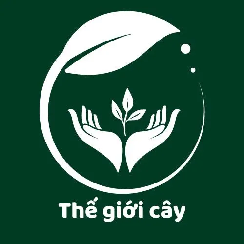 THẾ GIỚI CÂY