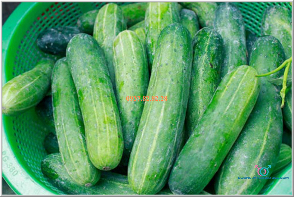 che sextoy cho nu che sextoy cho nu