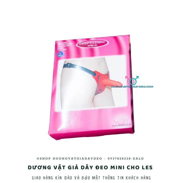 Hướng Dẫn Chọn Dương Vật Giả Mini Dành Cho Les: An Toàn và Thú Vị