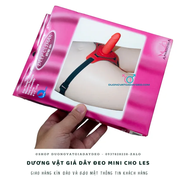 Hướng Dẫn Chọn Dương Vật Giả Mini Dành Cho Les: An Toàn và Thú Vị