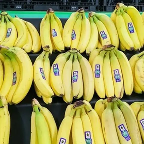 Siêu thị Mỹ lần đầu tăng giá chuối sau hơn 20 năm