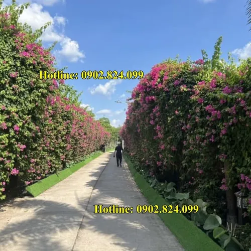 CHO THUÊ NHÀ VỆ SINH DI ĐỘNG - DỊCH VỤ UY TÍN TẠI VIỆT NAM- NHÀ VỆ SINH CHO THUÊ MỚI TỪ 90-100%