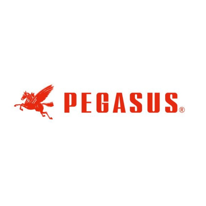 PEGASUS