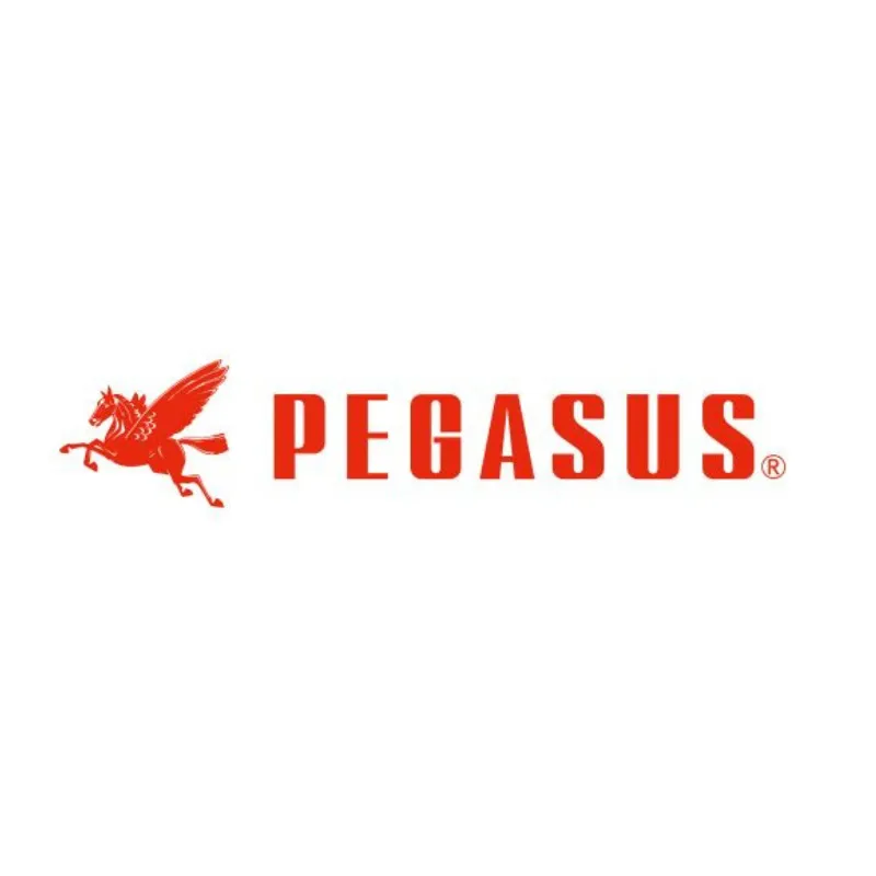 PEGASUS