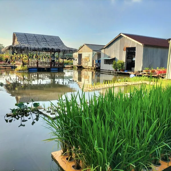 Tour khám phá "Chợ và Làng trên sông"