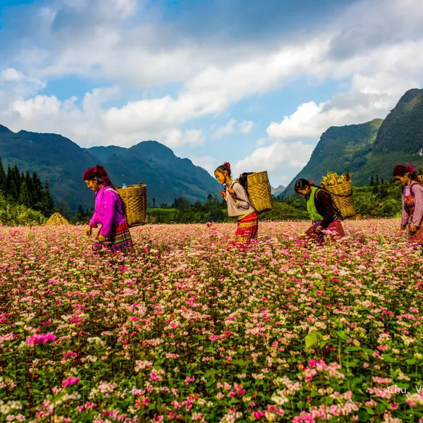 SMS_MB08_TOUR HÀ NỘI - HÀ GIANG - ĐỒNG VĂN - CAO BẰNG - THÁC BẢN GIỐC - BA BỂ 5N4Đ