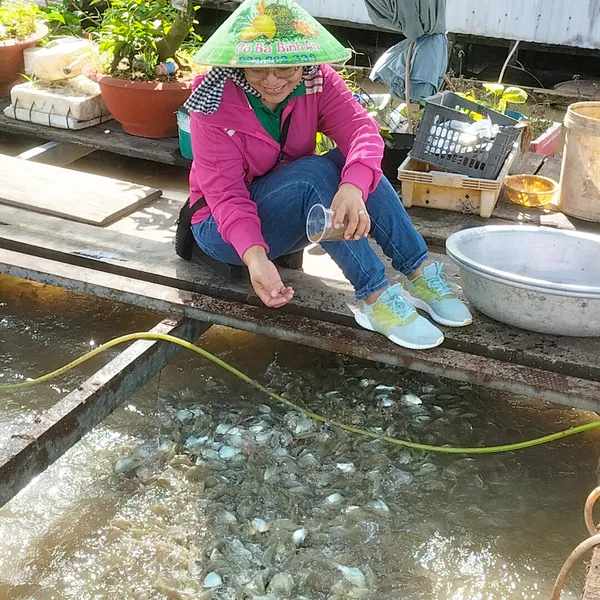 (CT04_MHH) MỸ HÒA HƯNG - TÌM VỀ ĐẤT VÀ NGƯỜI XỨ CÙ LAO