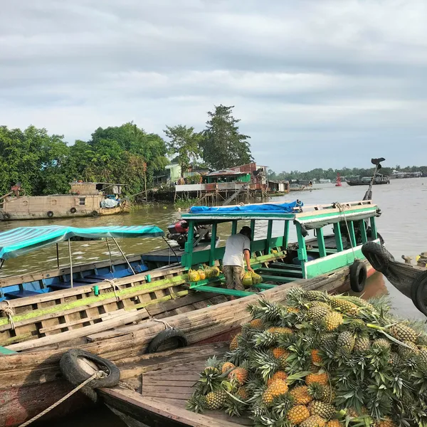 (CT01_MHH) - ĐÓN BÌNH MINH TRÊN DÒNG SÔNG HẬU