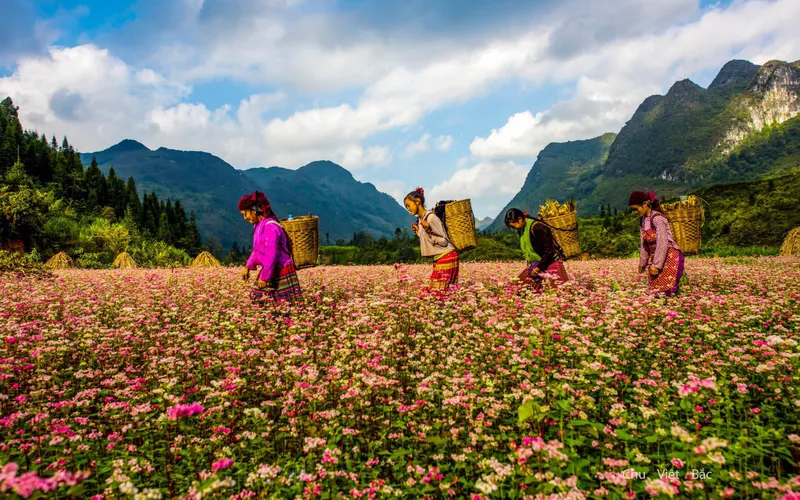 SMS_MB08_TOUR HÀ NỘI - HÀ GIANG - ĐỒNG VĂN - CAO BẰNG - THÁC BẢN GIỐC - BA BỂ 5N4Đ