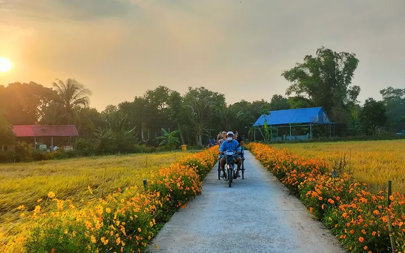 (CT03_MHH) MỸ HÒA HƯNG - MỘT THOÁNG CÙ LAO XANH