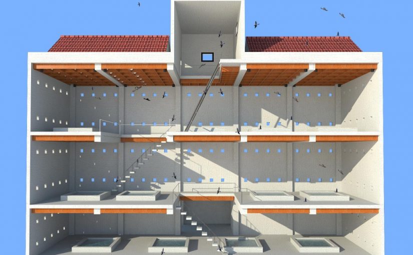 Giải pháp lắp đặt camera nuôi yến