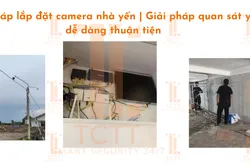 Giải pháp lắp đặt camera nhà yến | Giải pháp quan sát yến dễ dàng thuận tiện