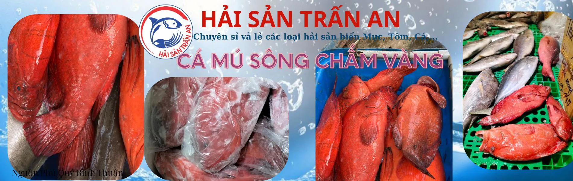 Cá mú sông