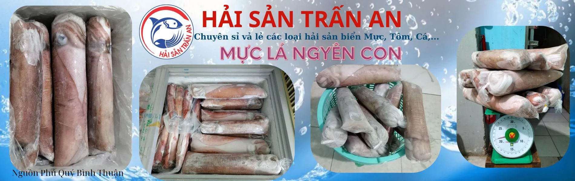 Mực lá nguyên con
