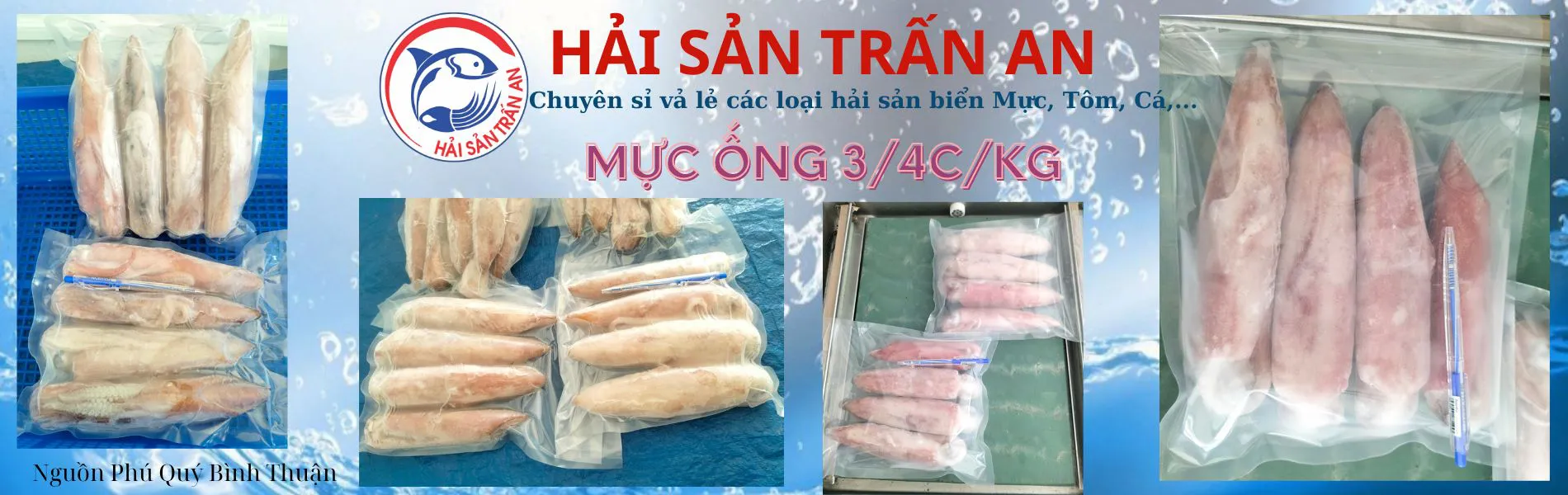 Mực ống 3/4 con