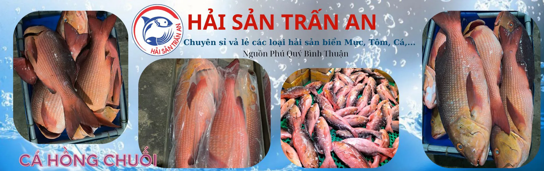 Cá hồng chuối
