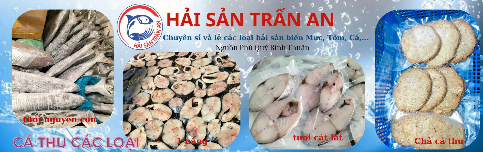 Cá thu các loại