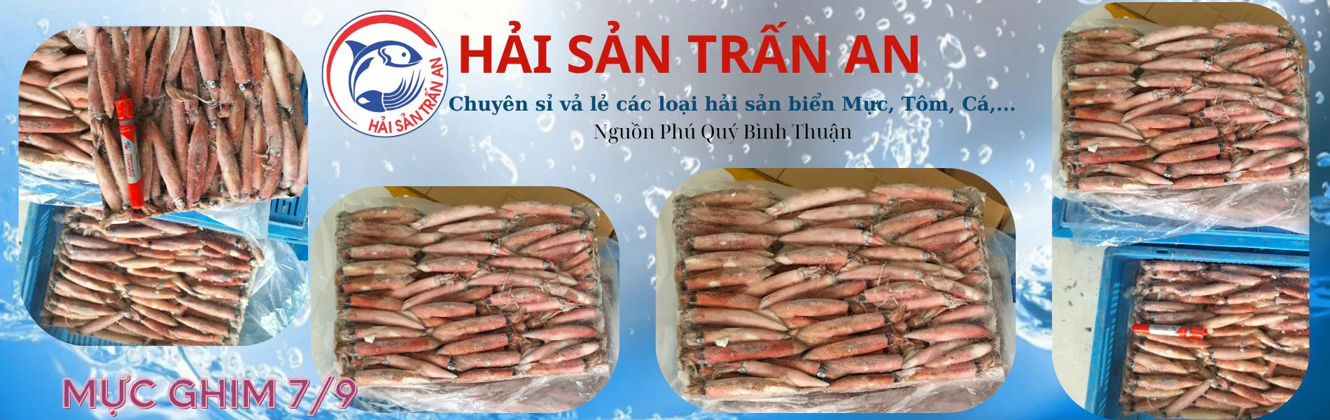 Mực trứng size 7/9