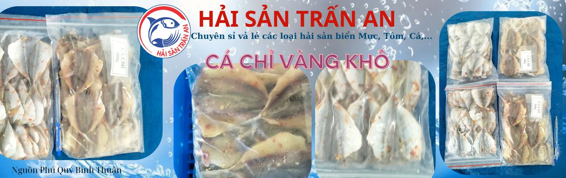 Cá chỉ vàng file