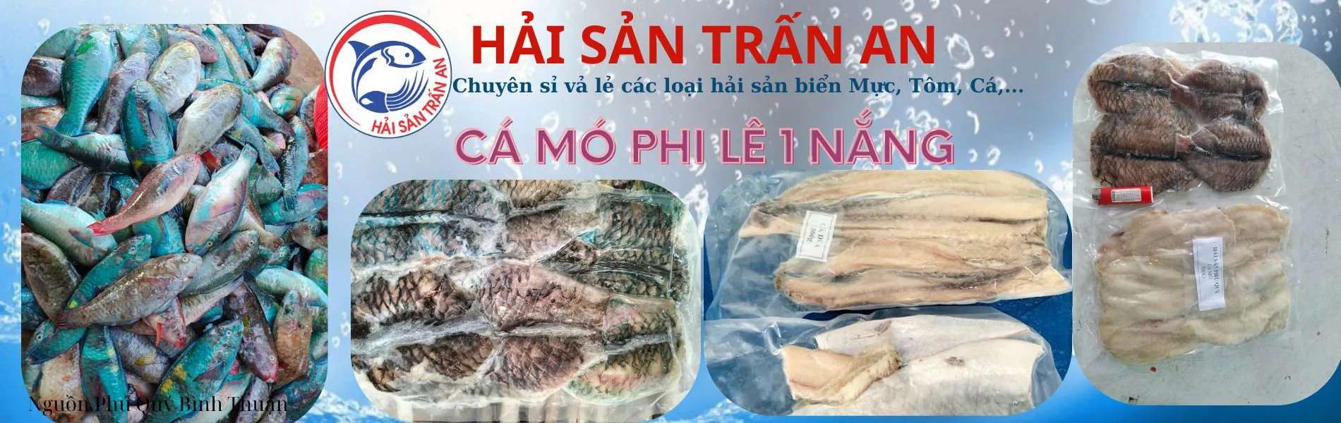 Cá mó 1 nắng