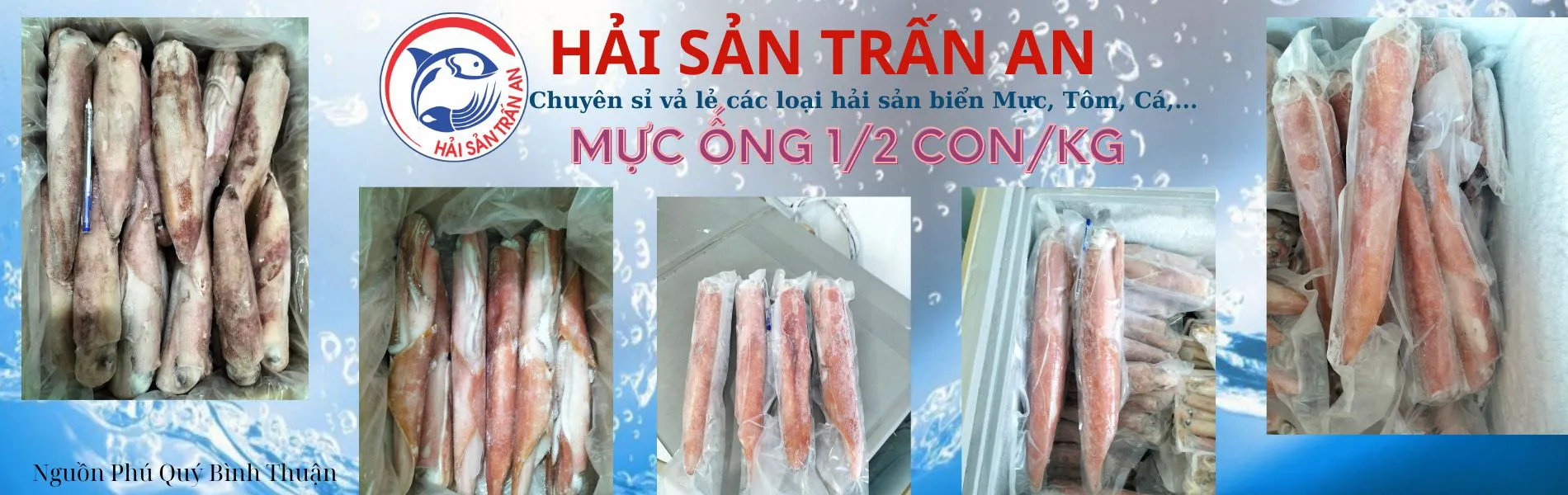Mực ống 1/2 con