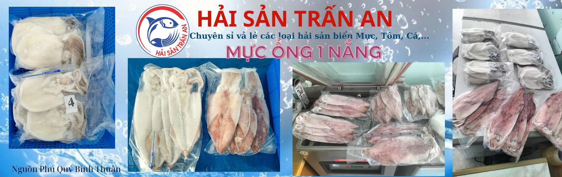 Mực 1 nắng