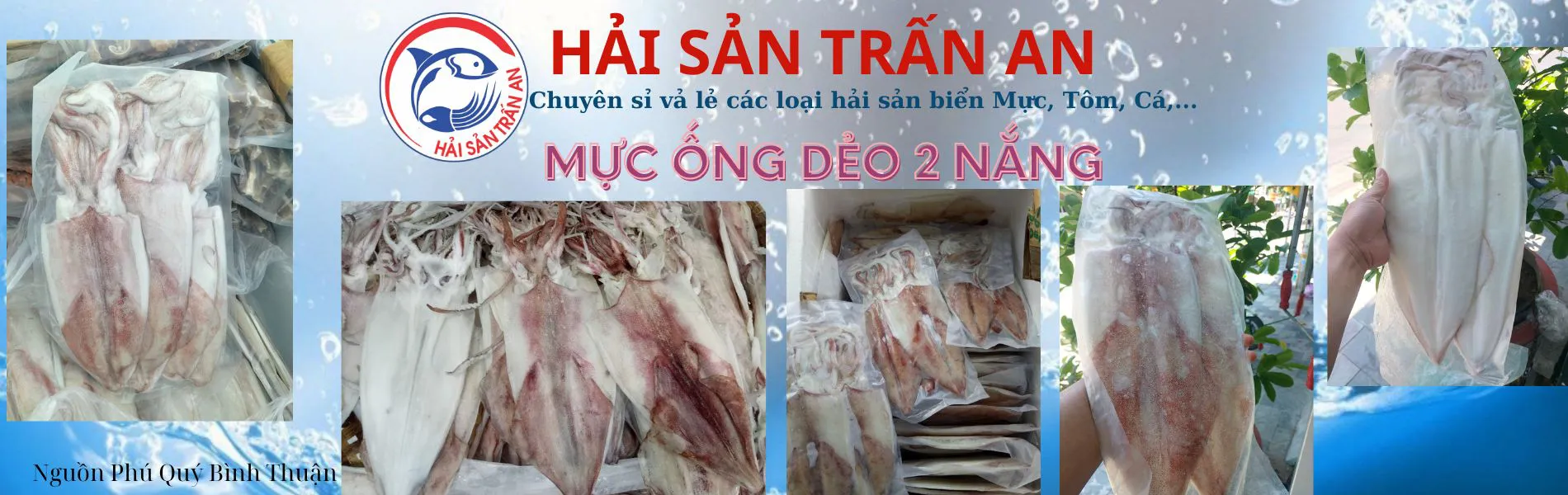 Mực ống các loại